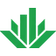 Agave logo