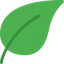 AnkiDecks logo