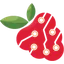 AnvaSoft logo