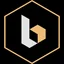 BASIS logo