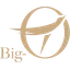 Big-O Information Intelligence Corp. logo
