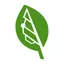 Bigleaf logo