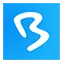 BigMarker logo