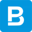 BigPicture.io logo