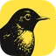 Birch logo