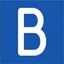 BlueSnap logo