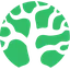 Bonsai logo