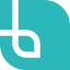 Braid logo