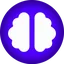 BrainFlow AI logo