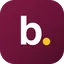 Brandyze logo