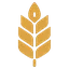 Brewlytics logo