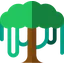 Canopy API logo