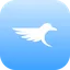 Cash Raven logo