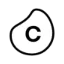 Celonis logo