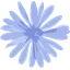 Chicory logo