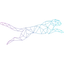 CUANTICO logo