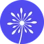 CUFinder logo
