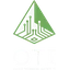 Domain Intelligence logo