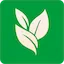 Evergreen logo