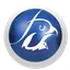 FALCON ERP logo