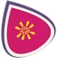 FigPii logo