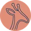Geogiraph logo