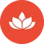 Health Samurai logo