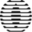 Ignition logo