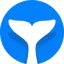 Intempt logo