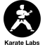 Karate Labs logo