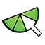 LibLime logo