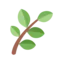 Loaloa Studio logo