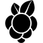 MoBerries logo