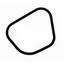Morphik logo