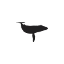 OBIS logo