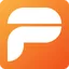 Paragon Software logo