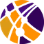 ProHoster logo