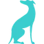 RecHound logo