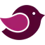 Robin logo
