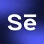 Selzy logo