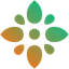 StudyWithLily logo