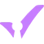 Veritise logo