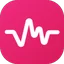 Voice Message logo